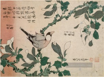 葛飾北斎 Katsushika Hokusai Werke - Sperling und Magnolia Katsushika Hokusai Ukiyoe